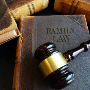 Things a Family Lawyer Can Do for You