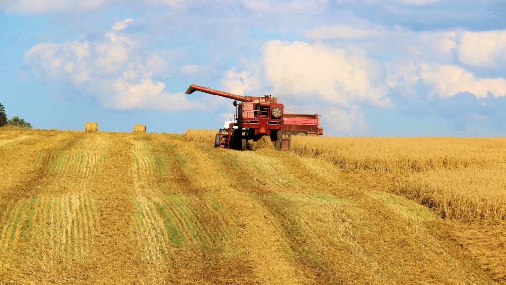 Legal Considerations for Indiana Farmers During Harvest Season