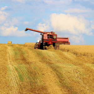 Legal Considerations for Indiana Farmers During Harvest Season